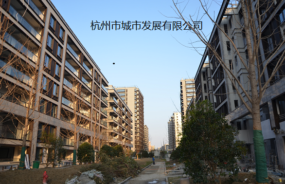 微信截图_202003杭州市城投建设项目.png